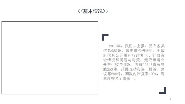 年报3.png